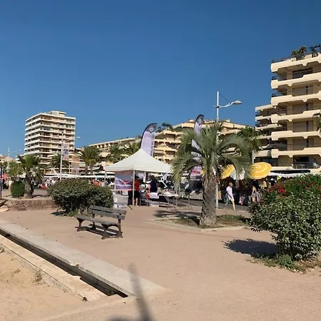 Paradis T1 Clim Terrasse Wi-fi *