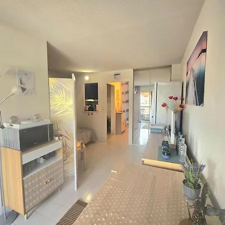 Paradis T1 Clim Terrasse Wi-fi Frejus